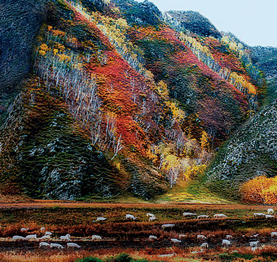 乌兰察布市-卓资县-红召九龙湾风景区