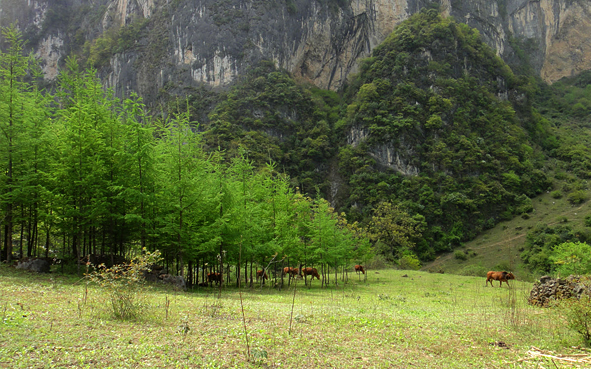 陇南市-徽县-三滩风景区