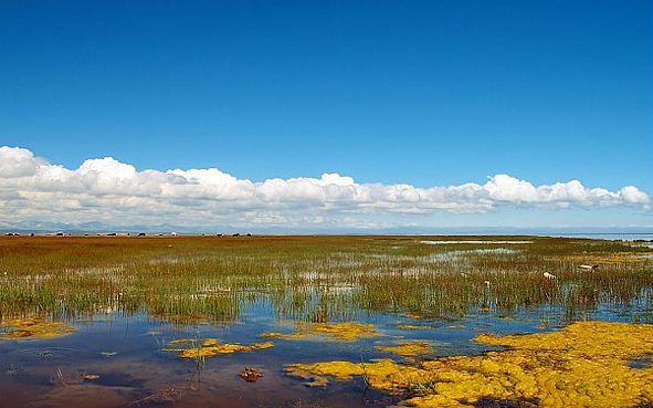 海北州-刚察县-青海湖/仙女湾风景区