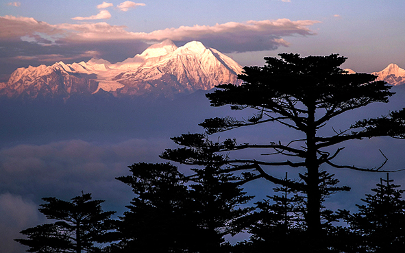 雅安市-天全县-二郎山/红岩顶(大熊猫栖息地/世界遗产)风景