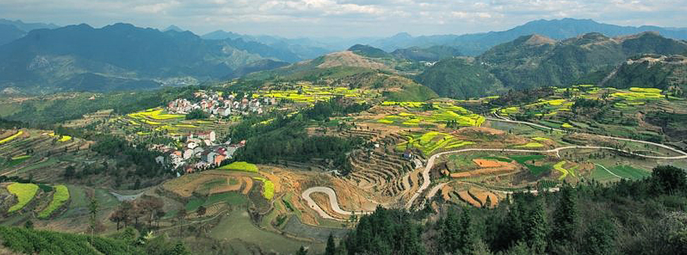 温州市-永嘉县-茗岙梯田风景区