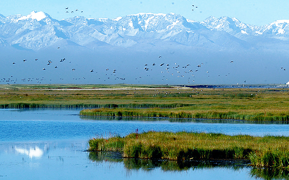 巴音郭楞州-和静县-天山·巴音布鲁克草原(天鹅湖)国家级自然