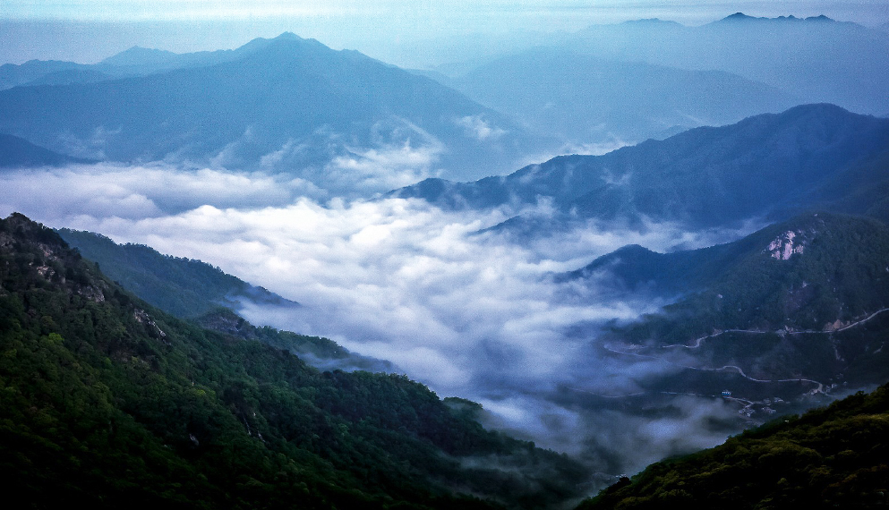 南阳市-内乡县-伏牛山·宝天曼国家级自然保护区