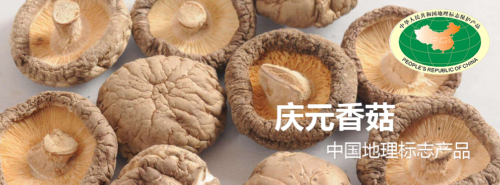 丽水市-庆元县-中国庆元香菇博物馆|中国特产·庆元香菇|中国