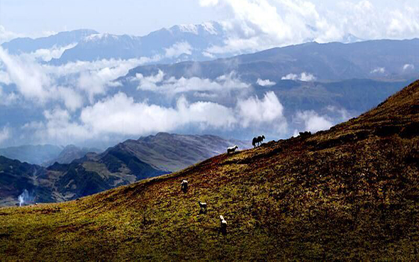 凉山州-美姑县-美姑大风顶国家级自然保护区