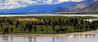 日喀则市-桑珠孜区-年楚河国家湿地公园