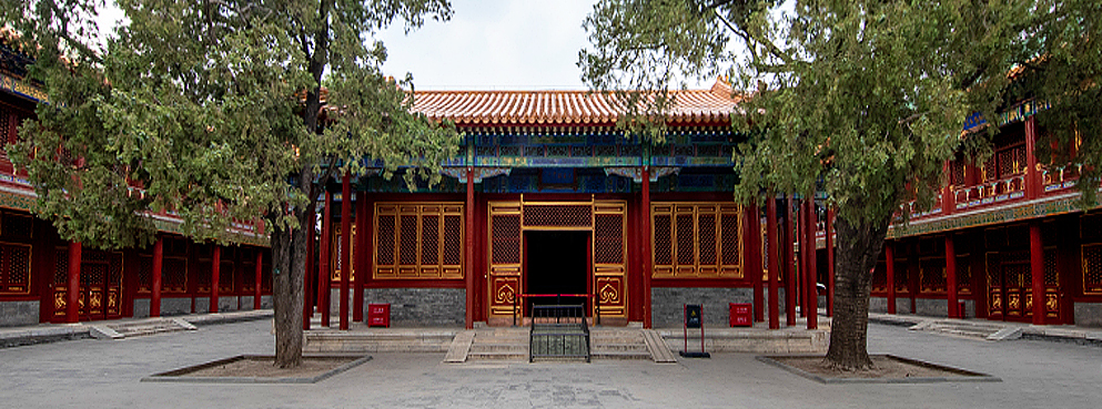 北京市-东城区-故宫|明-清|慈宁宫花园