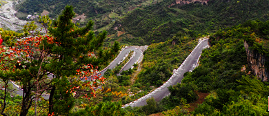 陇南市-武都区-姚寨沟风景区