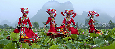 百色市-平果县-坡造乡-布镜湖荷花基地