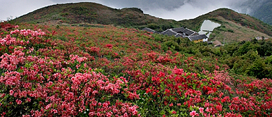 温州市-瑞安市-马屿镇-圣井山（|明-清|石殿）风景区