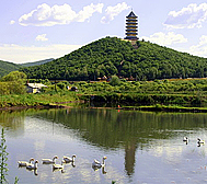 双鸭山市-集贤县-大菩提寺