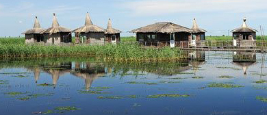 大庆市-林甸县-鹤鸣湖湿地温泉风景区