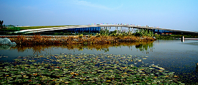 西安市-未央区-浐灞国家湿地公园·风景旅游区|4A