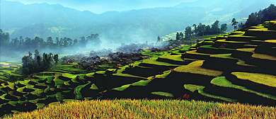 黔东南州-黎平县-洪州镇-六爽村-三省坡（梯田）风景区