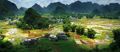 河池市-东兰县-武篆镇-江平村(长寿村)