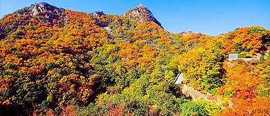 天津市-蓟州区-下营镇-八仙山国家级自然保护区|3A