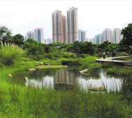 香港-元朗区-天水围公园