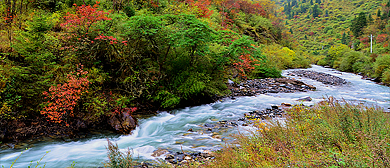 阿坝州-黑水县-奶子沟·八十里彩林