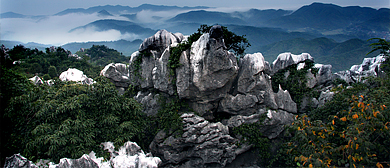 景德镇市-乐平市-洪岩镇-洪岩仙境（洪岩国家森林公园）风景旅游区|4A