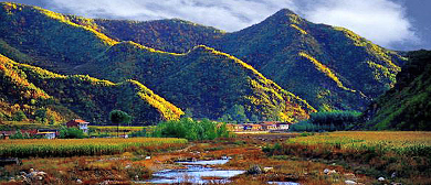 赤峰市-喀喇沁旗-旺业甸国家森林公园