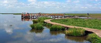 兴安盟-科右中旗-科尔沁湿地|翰嘎利湖|国家级自然保护区|3A