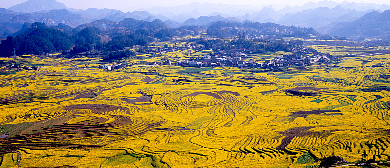 河池市-南丹县-芒场镇-巴平村（花海）梯田风景区