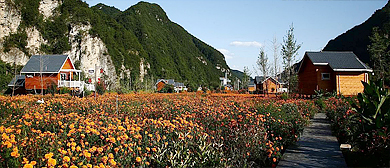 商洛市-洛南县-巡检镇-禹平川秦岭原乡（万寿菊园）风景旅游区