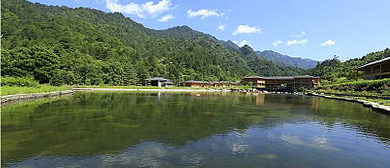 安康市-宁陕县-上坝河国家森林公园