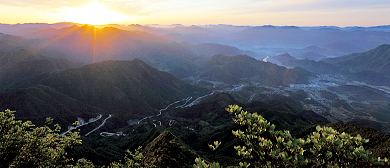 丽水市-庆元县-屏都街道-巾子峰国家级森林公园·风景旅游区|4A