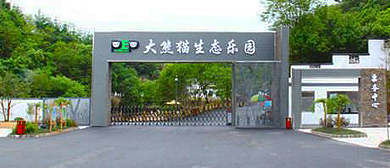 黄山市-休宁县-黄山野生动物园（大熊猫生态乐园）