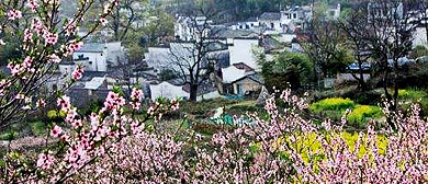 黄山市-黟县-碧阳镇-五里村·桃花风景区