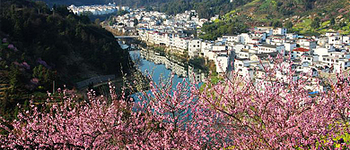 黄山市-歙县-昌溪乡-昌溪村·风景旅游区