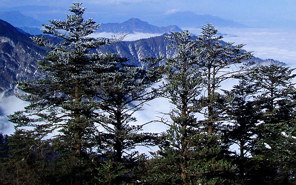 成都市-大邑县-西岭镇-西岭（西岭国家森林公园·西岭雪山国家级风景名胜区）风景旅游区|4A