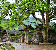 铜仁市-松桃县-孟溪镇-头京村