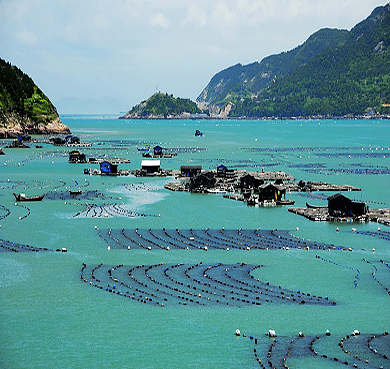 福州市-罗源县-罗源湾·海洋世界风景旅游区|4A