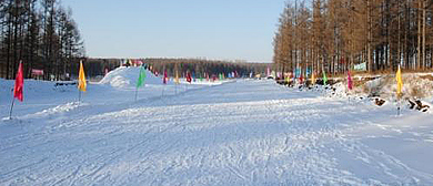 长春市-南关区-新立湖国家湿地公园（新立湖滑雪场）风景旅游区