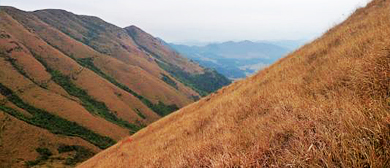 宁德市-蕉城区-第一旗山|兔耳岭|风景区