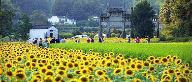 黄山市-徽州区-潜口镇-蜀源村（|明-清|牌坊群·思恕堂）