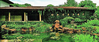 杭州市-西湖区-中国茶叶博物馆