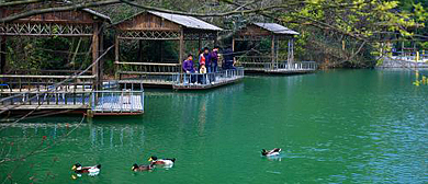 宁波市-江北区-慈城镇-绿野山庄（度假村）风景旅游区|4A