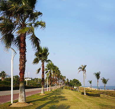 厦门市-思明区-椰风寨海滨风景旅游区