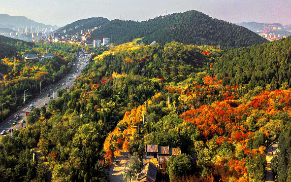 济南市-历下区-千佛山国家级风景名胜区|4A