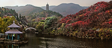 济南市-历城区-锦绣川乡-红叶谷风景旅游区|4A