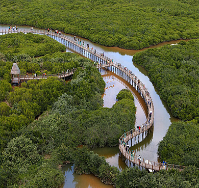 海南省-澄迈县-富力·红树湾|澄迈红树林湿地公园