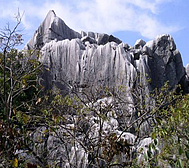 上饶市-万年县-神农源·石林风景区 