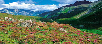 山南市-洛扎县-洛扎镇-次麦村·彩虹沟风景区