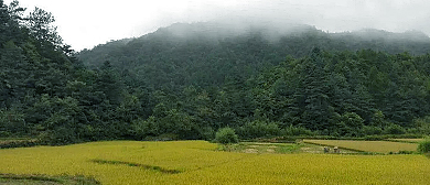 桂林市-龙胜县-马堤乡-彭祖坪风景区