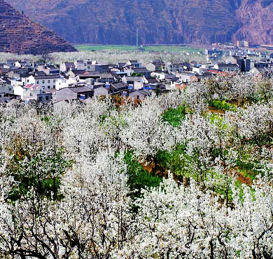 雅安市-汉源县-九襄镇-花海果乡风景旅游区|4A