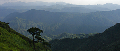 桂林市-灌阳县-洞井乡-太子山原始森林风景区