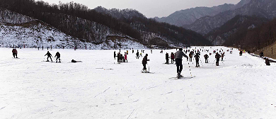 南阳市-西峡县-太平镇-老界岭滑雪场